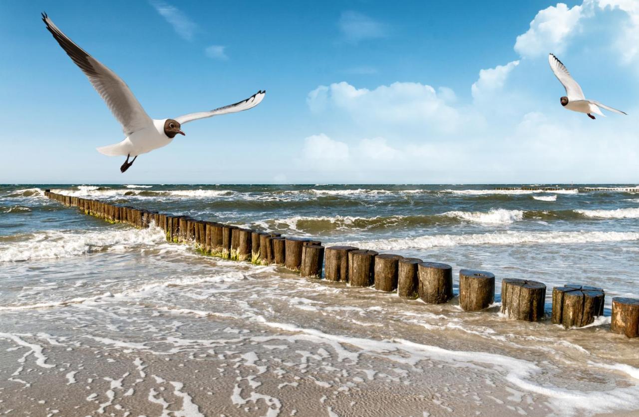Haus Am Meer Whg 46 베스터란트 외부 사진